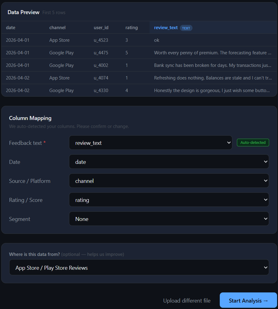 Data preview and column mapping screen with review_text auto-detected